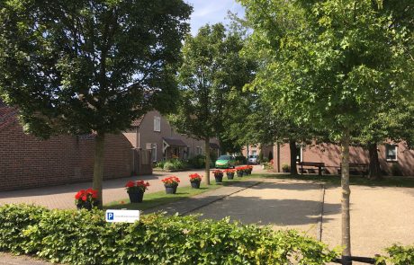 elsendorp-100-jeudeboulesbaan-kloostertuin