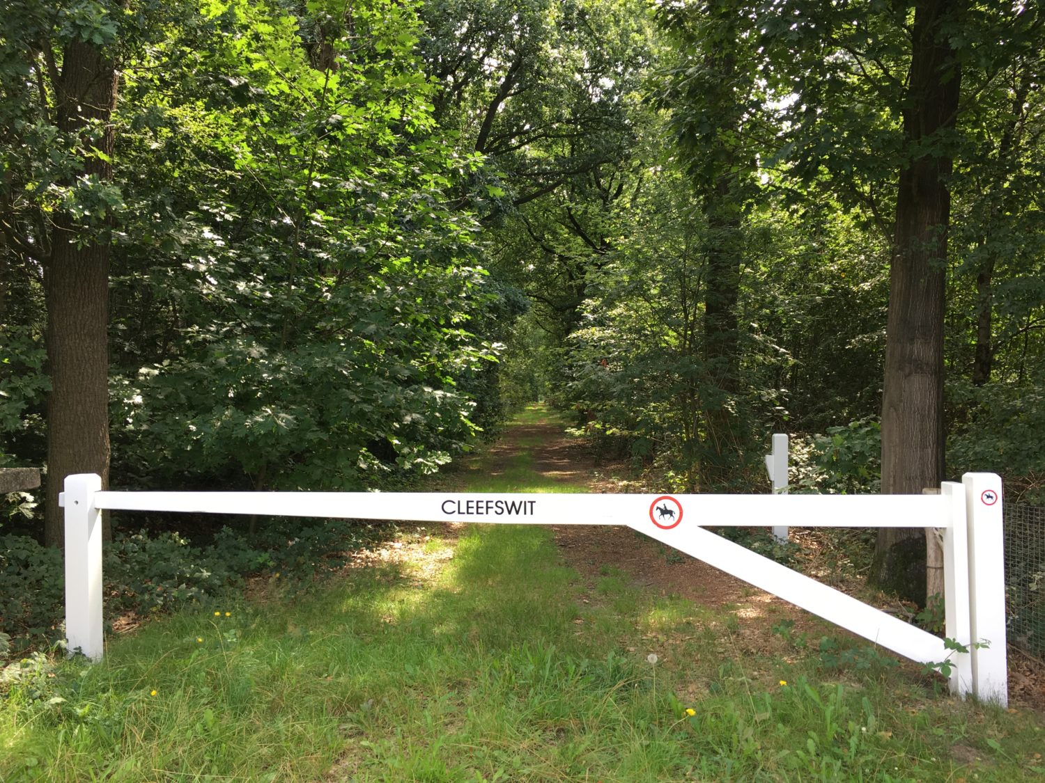 elsendorp-100-cleefswit