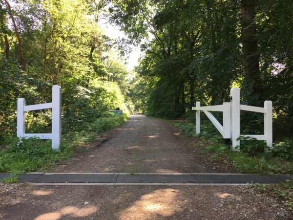 Juni/juli Wandelavond
