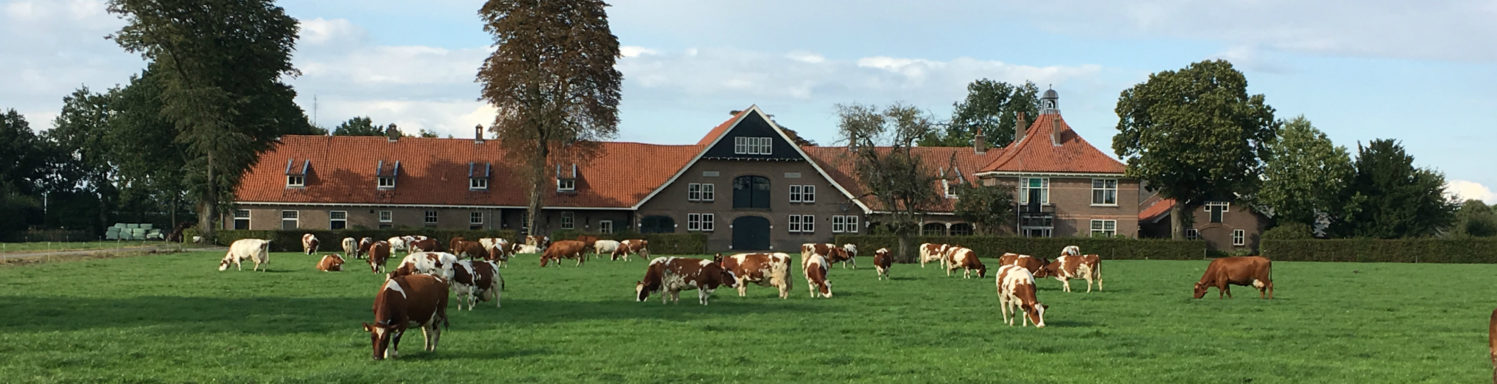 Elsendorp-100-hoeve-dompt
