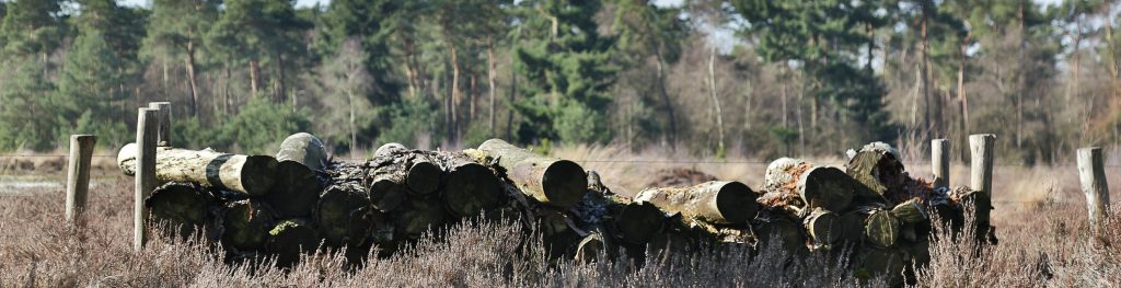 Elsendorp-100-heide-slink