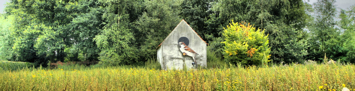 Elsendorp-100-vogelhuisje-haverkort