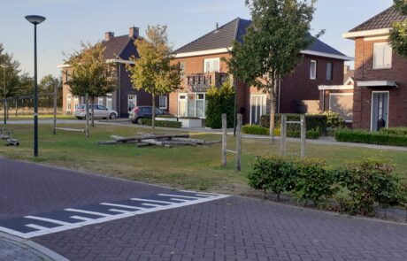 elsendorp-100-speeltuin-adelaarshof