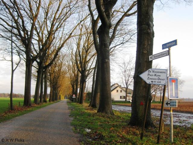 elsendorp-100-ijpenberglaan-vossenberg